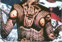 /album/metamorfose/foto-m-jpg/